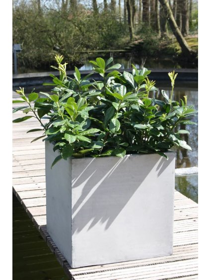 pflanzkuebel block fiberglas beton design grau 60 60 4