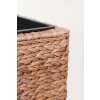 12492 10 kvetinac asia vodni hyacint vyska 50 cm natur