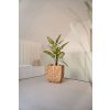pflanzkuebel wasserhyazinthe natur geflochten wild 45x50 02 4260364560503