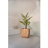 Květináč WILD, vodní hyacint, výška 50 cm, natur