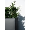 12546 18 kvetinac elemento pozink sirka 90 cm antracit