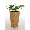 12600 1 kvetinac wild vodni hyacint vyska 80 cm natur