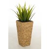 12603 1 kvetinac wild vodni hyacint vyska 60 cm natur