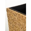 12603 7 kvetinac wild vodni hyacint vyska 60 cm natur