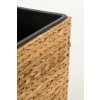 12606 5 kvetinac asia vodni hyacint vyska 60 cm natur