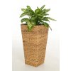 12606 1 kvetinac asia vodni hyacint vyska 60 cm natur