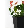 12879 1 kvetinac classic sklolaminat vyska 70 cm antracit