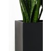 12918 8 truhlik maxi sklolaminat sirka 80 cm antracit