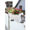 balkonkasten fiberglas weiss balkona classic 60x19x22 massbild shop 4260364567809