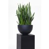 13065 21 misa na rostliny alice sklolaminat 45 cm antracit
