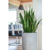 13080 27 kvetinac city sklolaminat vyska 80 cm beton design sedy