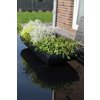 13098 12 miska na kvetiny zoey sklolaminat sirka 64 cm antracit