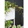 13413 11 kvetinac na vysokych nohach elevate square ocel vyska 79 cm bily mat