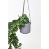 13659 16 zavesny kvetinac pendulo sklolaminat 15x15 cm sedy