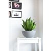 13878 12 misa na kvetiny cuenco sklolaminat vyska 18 cm seda