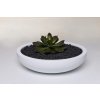 13950 11 okrasna miska plana sklolaminat 11x 43 cm bila