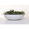 13950 16 okrasna miska plana sklolaminat 11x 43 cm bila