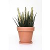 14112 11 kvetinac levanta plast vyska 27 cm natur