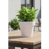 pflanzkuebel kunststoff weiss levanta 27x30 ki 03 4066147002143