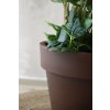 14355 8 kvetinac levanta plast vyska 27 cm hneda