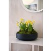 14529 9 misa na kvetiny escada low sklolaminat prumer 30 cm antracit