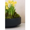 14529 11 misa na kvetiny escada low sklolaminat prumer 30 cm antracit