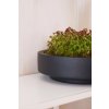 14532 8 misa na kvetiny escada low sklolaminat prumer 37 cm antracit