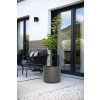 blumentopf pflanztopf fiberglas rund anthrazit 42x38 tropico terrasse 01
