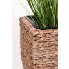 14865 7 kvetinac asia vodni hyacint vyska 40 cm natur