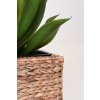 14865 11 kvetinac asia vodni hyacint vyska 40 cm natur