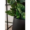 14907 4 kvetinac girar sklolaminat vyska 37 cm antracit