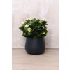 14907 4 kvetinac girar sklolaminat vyska 37 cm antracit