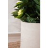 15048 6 kvetinac tropico sklolaminat vyska 38 cm bezova