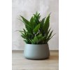 15126 7 kvetinac gordo sklolaminat vyska 29 cm sedy