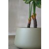15129 12 kvetinac gordo sklolaminat vyska 21 cm bezovy