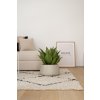 15132 11 kvetinac gordo sklolaminat vyska 21 cm kremovy