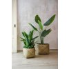15162 11 prirodni obal na kvetiny cistella bambus vyska 29 cm natur