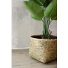 15165 9 prirodni obal na kvetiny cistella bambus vyska 36 cm natur