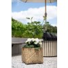 pflanzkuebel bambus fiberzement natur cistella 48x36 cistella natur 01 4066147006417