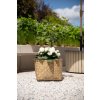 pflanzkuebel bambus fiberzement natur cistella 48x36 cistella natur 02 4066147006417