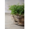 15477 6 prirodni kos na rostliny bojo ratan prumer 40 cm natur