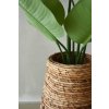 15495 8 pokojovy kvetinac rota vodni hyacint prumer 35 cm natur