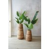 15495 9 pokojovy kvetinac rota vodni hyacint prumer 35 cm natur