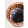 15495 12 pokojovy kvetinac rota vodni hyacint prumer 35 cm natur