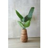 Pokojový květináč ROTA, vodní hyacint, průměr 35 cm, natur