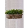 Balkónový truhlík SACADA, ratan, délka 46 cm, natur