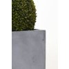2116 15 umela rostlina bux prumer 48 cm plast zelena bux
