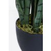2128 12 umela rostlina sansi vyska 68 cm plast zelena sansi
