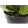 2239 10 umela rostlina agave v cernem kvetinaci agavo plast vyska 54 cm zelena