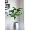 2350 9 umela rostlina draco plast vyska 100 cm zelena draco